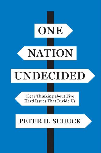 Cover image for One Nation Undecided: Clear Thinking about Five Hard Issues That Divide Us