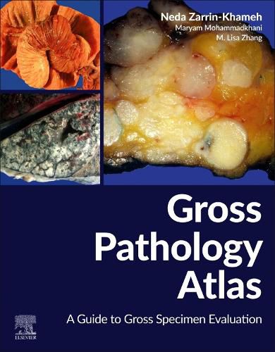 Cover image for Gross Pathology Atlas