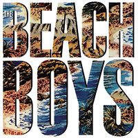 Cover image for Beach Boys *** Vinyl