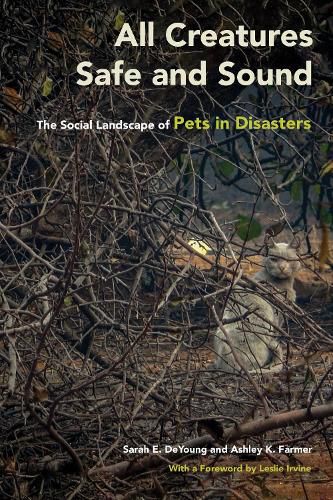 Cover image for All Creatures Safe and Sound: The Social Landscape of Pets in Disasters