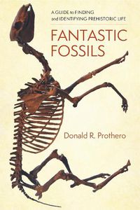 Cover image for Fantastic Fossils: A Guide to Finding and Identifying Prehistoric Life