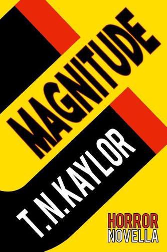 Cover image for Magnitude