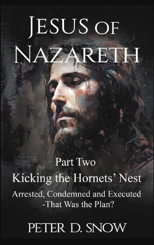 Cover image for JESUS OF NAZARETH Part Two