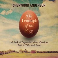 Cover image for The Triumph of the Egg: A Book of Impressions from American Life in Tales and Poems