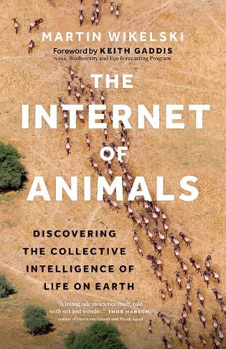 The Internet of Animals