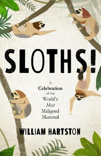 Cover image for Sloths: A Celebration of the World's Most Misunderstood Mammal