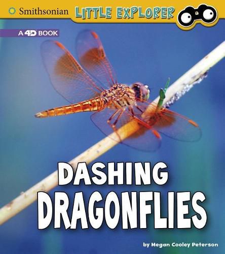 Dashing Dragonflies: A 4D Book: A 4D Book