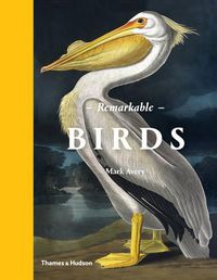 Cover image for Remarkable Birds