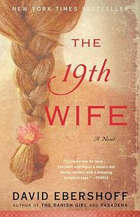 Cover image for The 19th Wife: A Novel