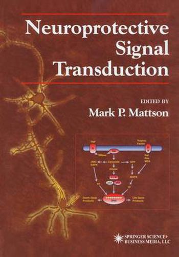 Cover image for Neuroprotective Signal Transduction