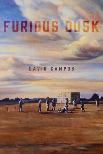 Cover image for Furious Dusk