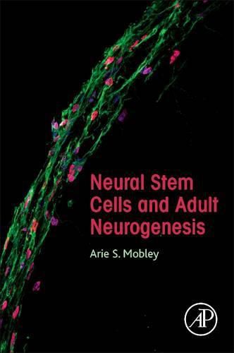 Cover image for Neural Stem Cells and Adult Neurogenesis