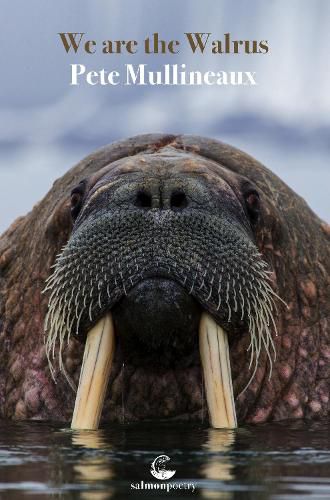 Cover image for We Are the Walrus
