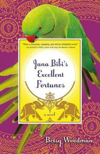 Cover image for Jana Bibi's Excellent Fortunes: A Novel