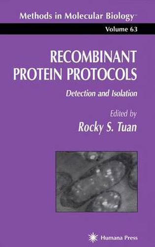 Cover image for Recombinant Protein Protocols: Detection and Isolation