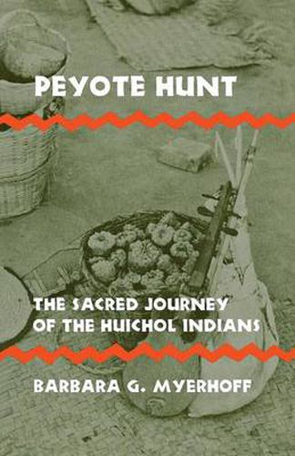 Cover image for Peyote Hunt: Sacred Journey of the Huichol Indians