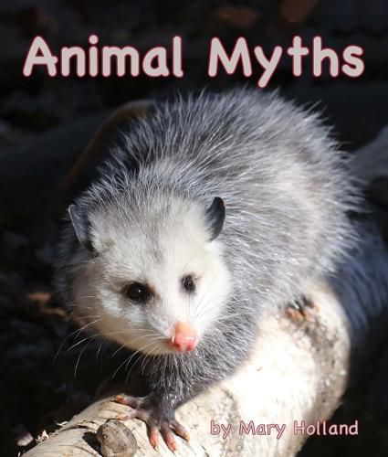 Cover image for Animal Myths