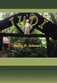 Cover image for Judi