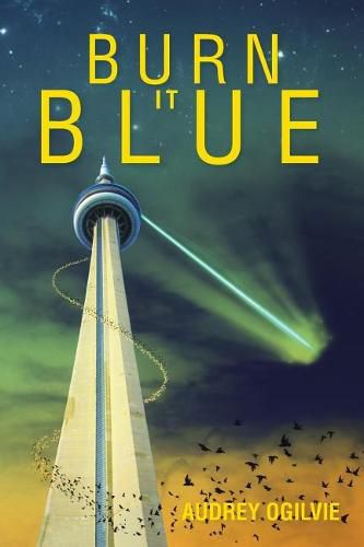 Cover image for Burn It Blue