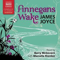 Cover image for Finnegans Wake