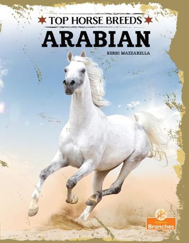 Cover image for Arabian