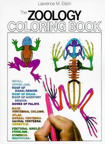 Cover image for The Zoology Colouring Book