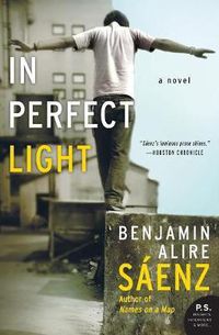 Cover image for In Perfect Light
