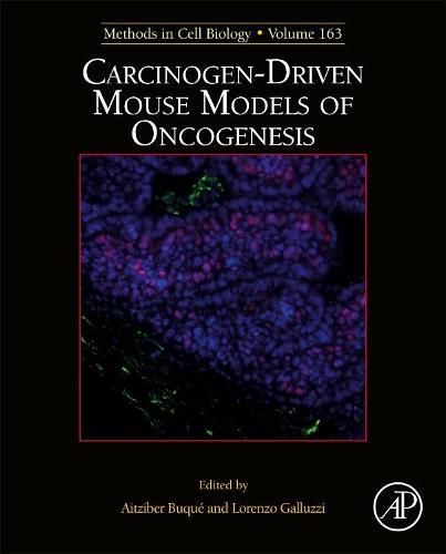 Cover image for Carcinogen-Driven Mouse Models of Oncogenesis