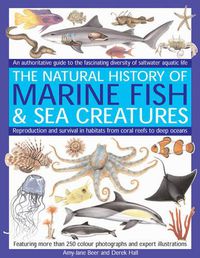 Cover image for Marine Fish: An Authoritative Guide to the Fascinating Diversity of Saltwater Aquatic Life