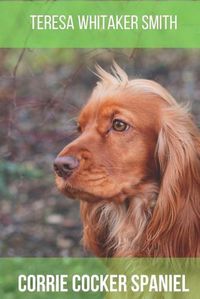 Cover image for Corrie Cocker Spaniel