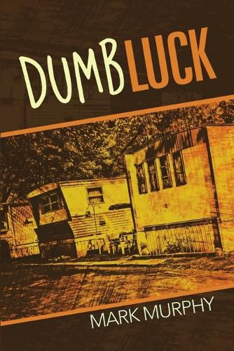 Cover image for Dumb Luck