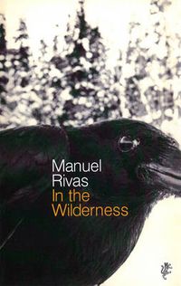 Cover image for In the Wilderness