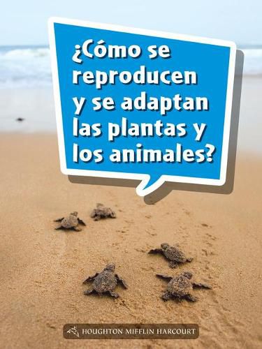 Cover image for Book 145: ?Como Se Reproducen Y Se Adaptan Las Plantas Y Los Animales?: Leveled Reader, on Level Grade 4