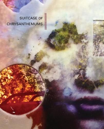 Cover image for Suitcase of Chrysanthemums