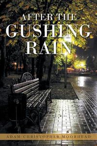 Cover image for After the Gushing Rain
