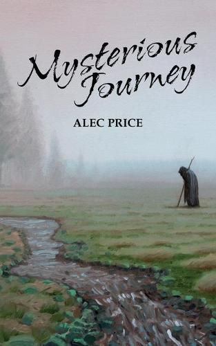 Cover image for Mysterious Journey