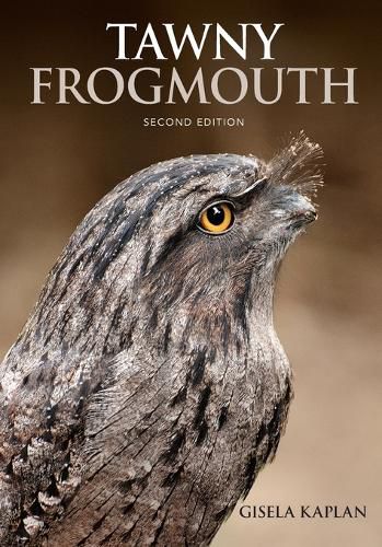 Cover image for Tawny Frogmouth