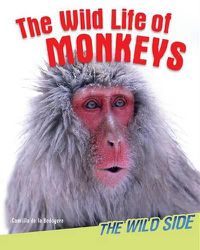 Cover image for The Wild Life of Monkeys