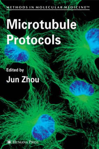 Cover image for Microtubule Protocols