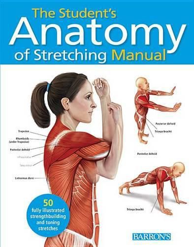 Cover image for Student's Anatomy of Stretching Manual: 50 Fully-Illustrated Strength Building and Toning Stretches