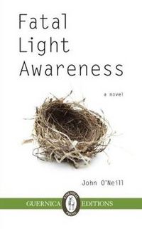 Cover image for Fatal Light Awareness