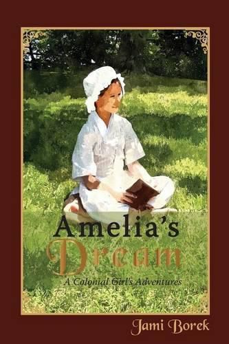 Cover image for Amelia's Dream: A Colonial Girl's Adventures