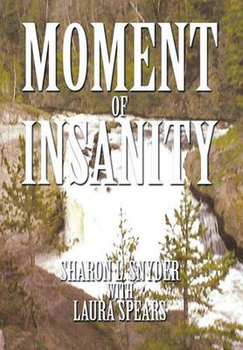 Cover image for Moment of Insanity