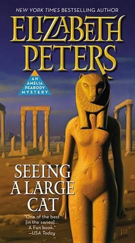 Cover image for Seeing a Large Cat