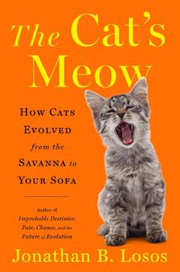 Cover image for The Cat's Meow: How Cats Evolved from the Savanna to Your Sofa