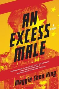 Cover image for An Excess Male: A Novel