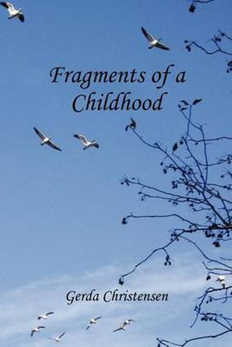 Cover image for Fragments of a Childhood: In Memory of My Mother and Grandparents