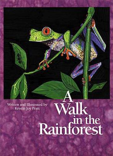 Cover image for A Walk in the Rainforest