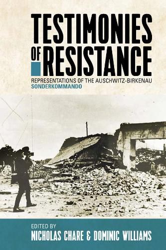 Cover image for Testimonies of Resistance: Representations of the Auschwitz-Birkenau Sonderkommando