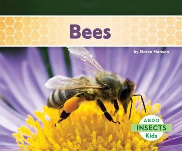 Cover image for Bees